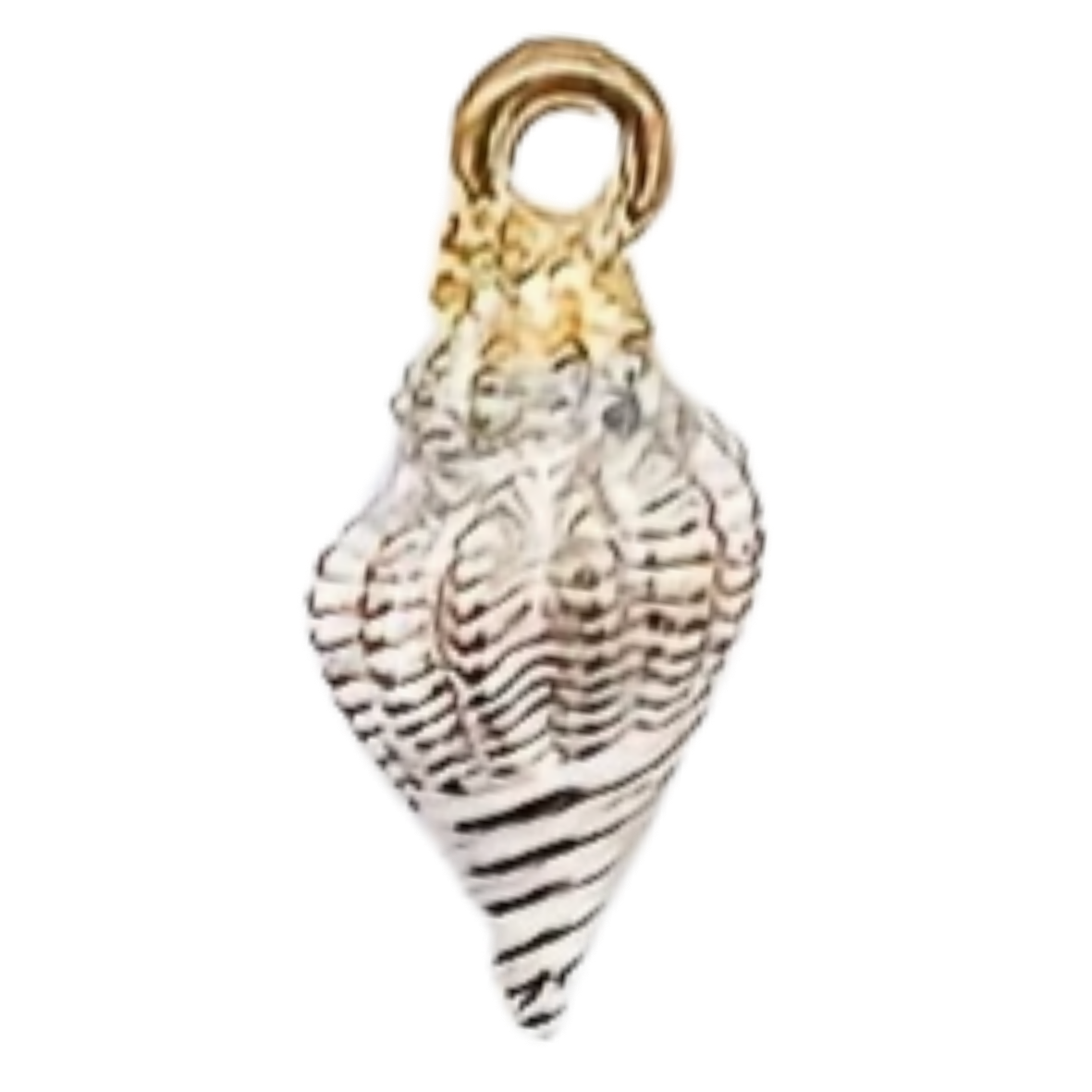 Seashell W - S.png