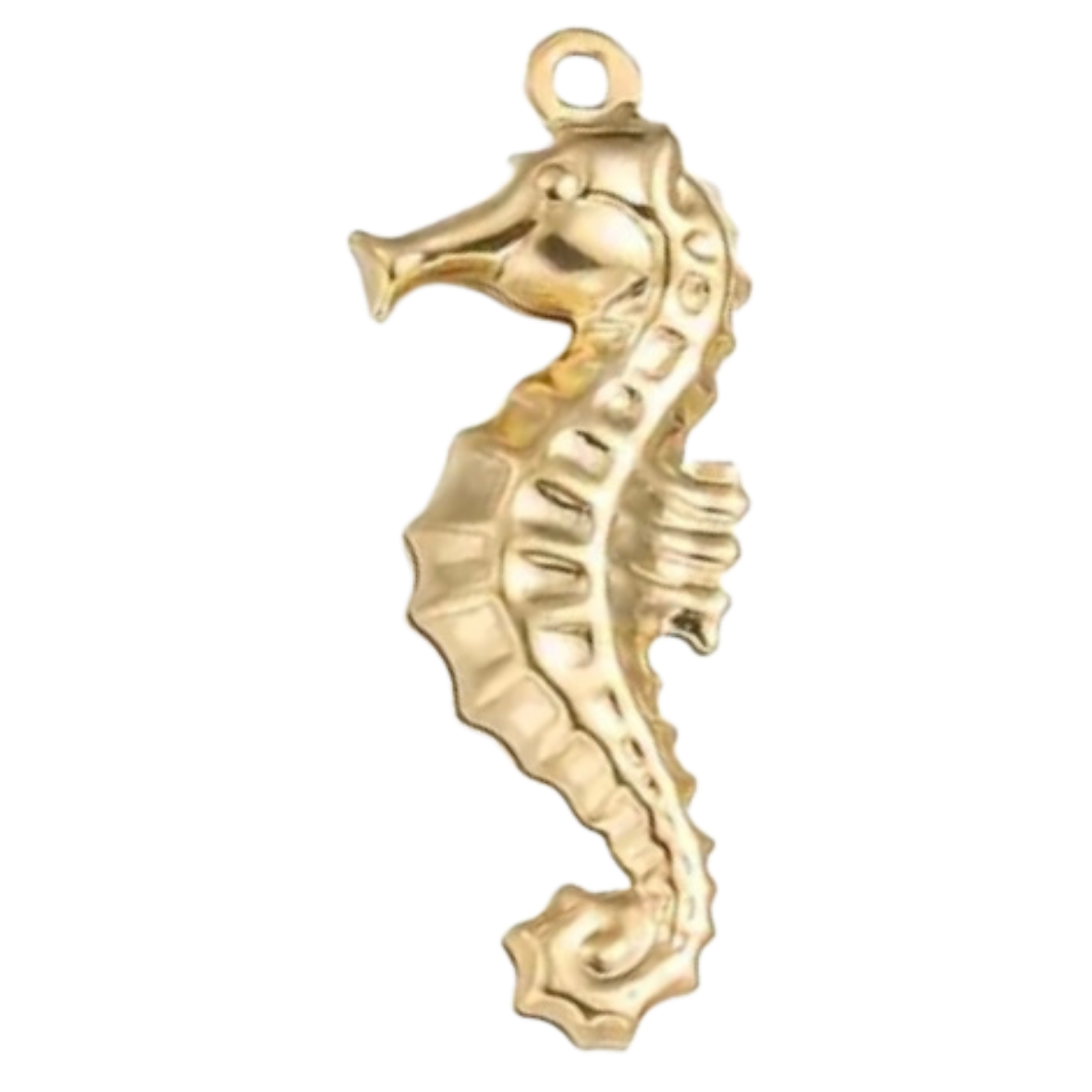 Seahorse - S