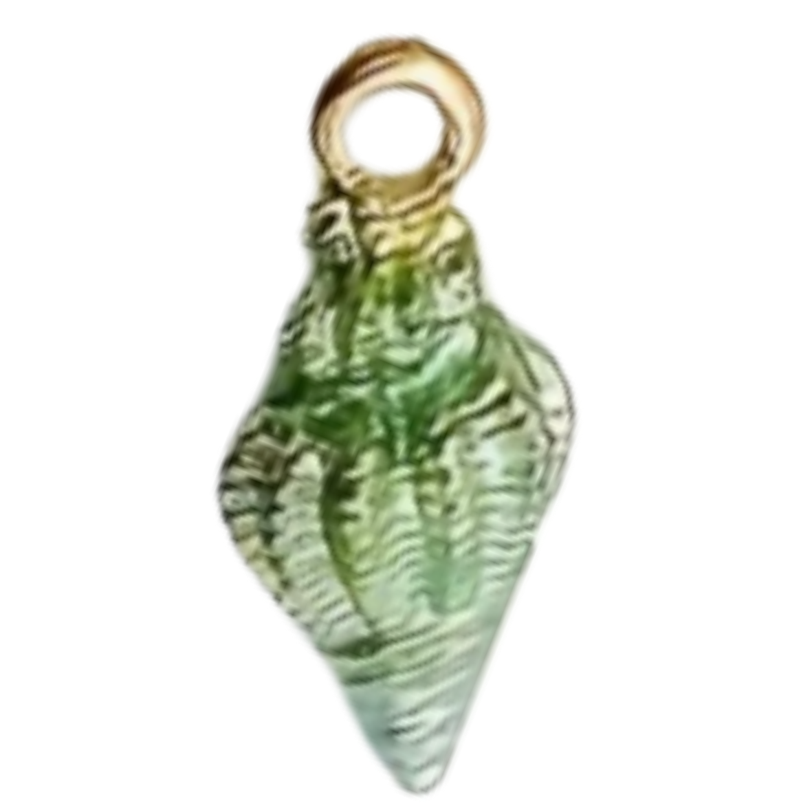 Seashell G - S